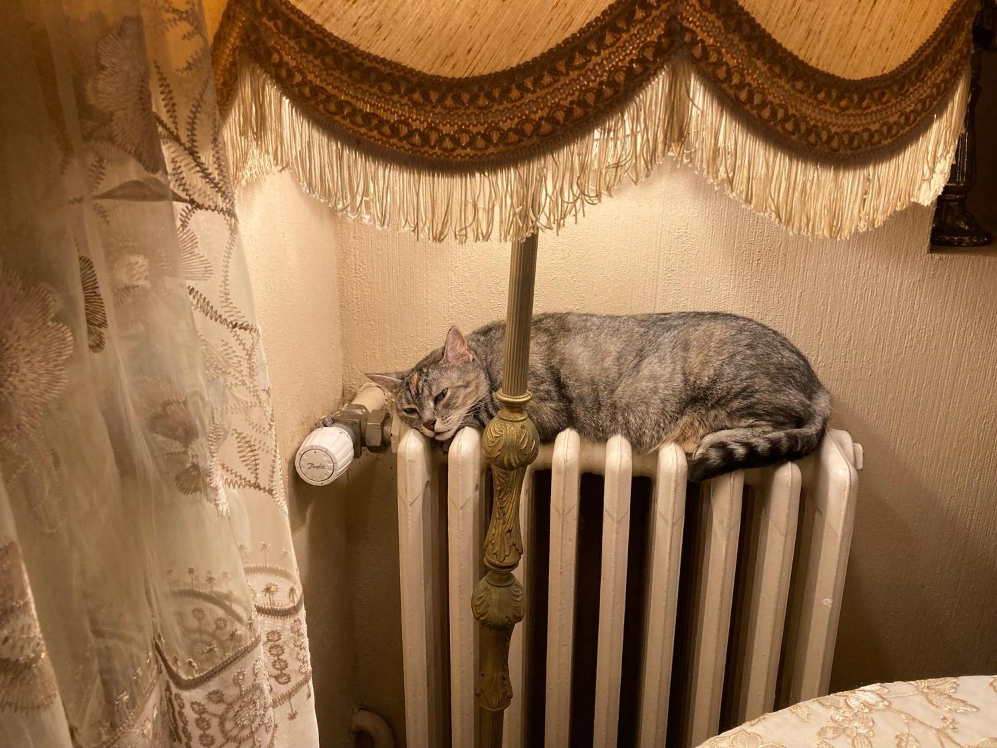 Bed & Breakfast The Corner 3*