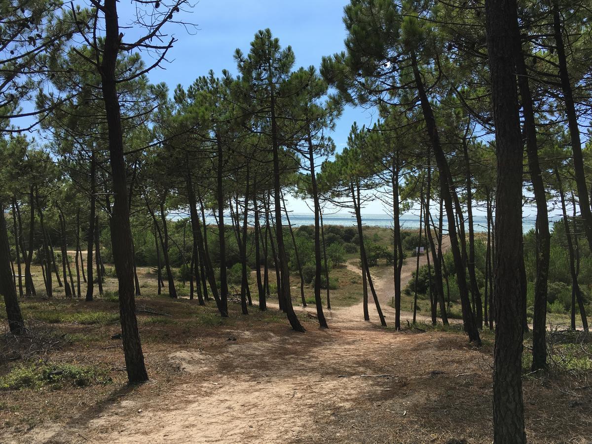 The Corner Noirmoutier-en-l'Ile